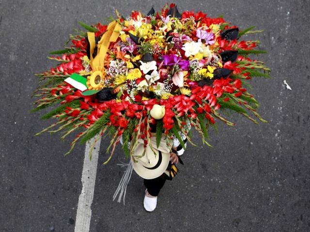 A flower grower, known as a silletero, carries a garland as he participates in the annual flower parade in Medellin. Reuters photo A flower grower, known as a silletero, carries a garland as he participates in the annual flower parade in Medellin. Reuters photo