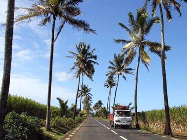 A sunny day in Maurituis. (Photo: Prachi Lodaya)