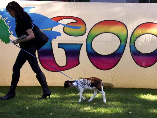 A woman leads a small goat past a political banner in central Sydney. (Reuters Photo)