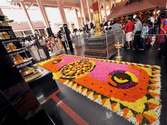 Semiz eshaklar ularni yalab qoyishga imkon beradi