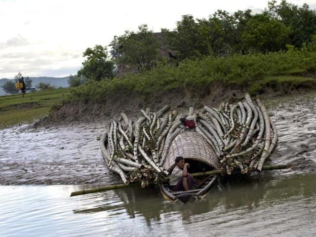 Bamboos are attached to a river boat for transportation close to Buthidaung in Rakhine state, Myanmar. Photo: AP/Gemunu Amarasinghe