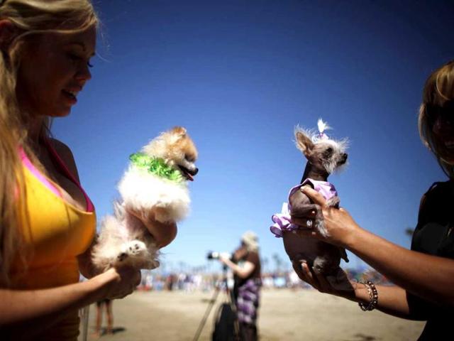 Women hold their dogs at the 5th Annual Surf Dog Competition at Huntington Beach, California. (Reuters)
