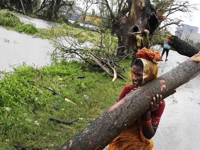 A woman carries away a branch of an uprooted tree post Cyclone Phailin, as municipal workers clear a highway in Berhampur. (AP Photo)