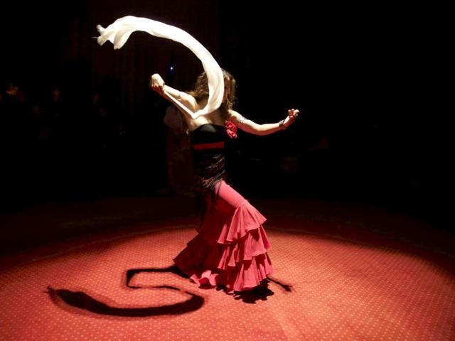 A dancer performs at the Gypsy 'Romanes' circus, founded by Alexandre Romanes, during a dress rehearsal in Paris. (Reuters Photo)
