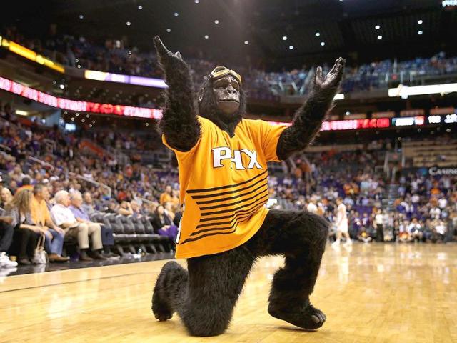 The Phoenix Suns mascot, Gorilla performs during the opening night NBA game against the Portland Trail Blazers at US Airways Center in Phoenix, Arizona. The Suns defeated the Trail Blazers 104-91. AFP