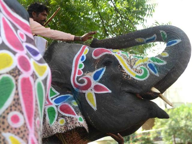 An elephant gives a two rupee coin to its Mahout or caretaker, offered by a devotee outside Shree Vaibhav Laxmi Temple on the occasion of Dhanteras in Ahmedabad. (AFP Photo)
