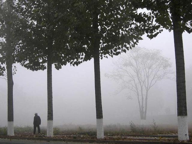 A man walks past trees on the sidewalk of a street amid heavy haze in Beijing. A chronic shortage of natural gas is hurting China's plan to move away from burning coal to heat homes and offices, raising the prospect of more choking air pollution this winter and beyond. The problem is worst in northern China, where air pollution mainly caused by decades of reliance on coal has lowered life expectancy by an estimated 5.5 years compared to the south, Chinese and international researchers said in July. (Reuters)