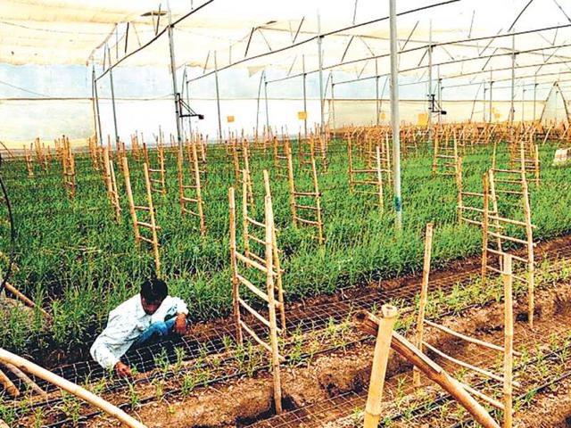 With a rampant expansion of agritourism in the country, several farmlands are now open to regular visitors.