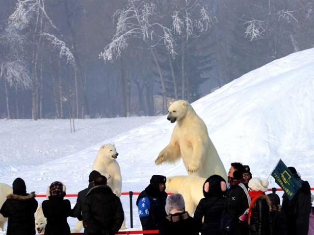 Visitors look at stuffed polar bears on display at the 15th Harbin International Ice and Snow Festival in Harbin, northeast China's Heilongjiang province. (AFP photo)