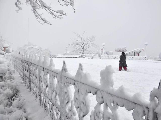 A woman walks down a road at Ridge in Shimla. (Santosh Rawat/HT Photo)