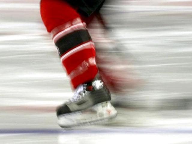 Auctions > SDMHA All Hockey & Off Season Christmas Silent