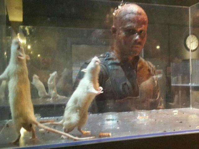 Bald-and-deadly-Emraan-Hashmi-in-a-still-from-Vikram-Bhatt-s-Mr-X Bald-and-deadly-Emraan-Hashmi-in-a-still-from-Vikram-Bhatt-s-Mr-X