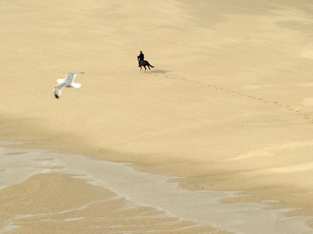 A horserider gallops on the beach of the Blanc-Nez cape, near Sangatte, northern France. (AFP photo)
