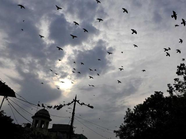 Early morning rain in Delhi leads to drop in maximum temperature. (Subrata Biswas/HT) Early morning rain in Delhi leads to drop in maximum temperature. (Subrata Biswas/HT)