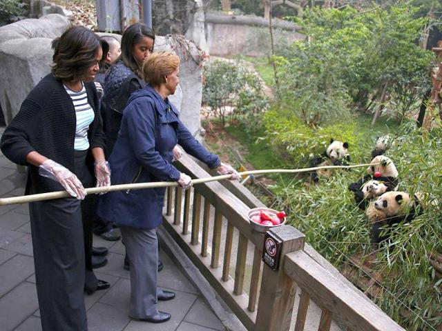 Michelle Obama and her mother Marian Robinson feed apple to giant pandas during their visit at Giant Panda Research Base in Chengdu, Sichuan province, China. (AP)