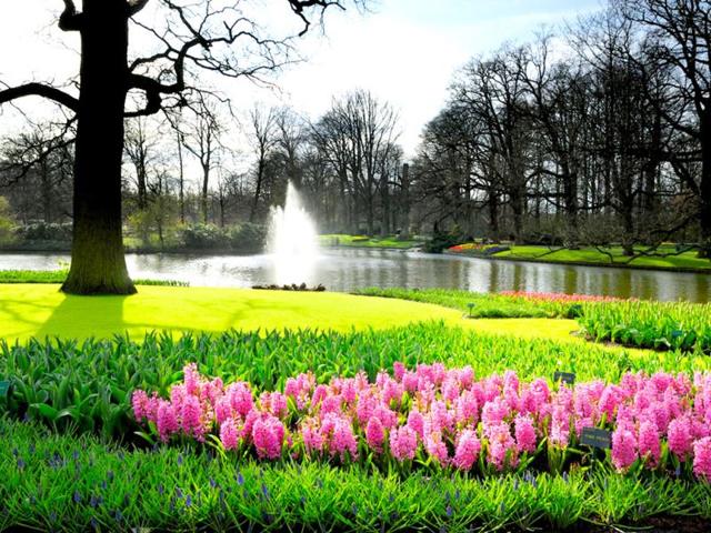 Lisse, Netherlands: The best time to visit Lisse, also known as the Garden of Europe, is May, when the town erupts in hyacinths, daffodils, orchids and lilies during the annual Flower Parade. Lisse is a short half-hour drive outside Amsterdam. (AFP)