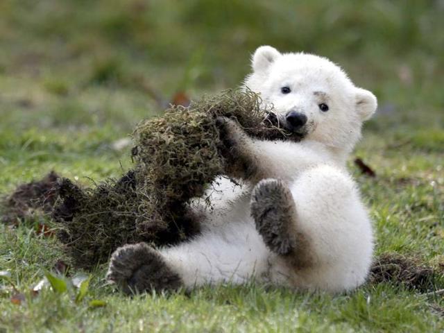 I'm getting down and dirty, like a boss (Reuters photo)