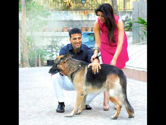 Akshay Kumar and Twinkle adore their two German Shepherds — Okie and Cleo. They call them family. Akshay Kumar and Twinkle adore their two German Shepherds — Okie and Cleo. They call them family.