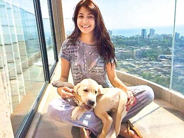 Anushka Sharma’s dog is called Dude. Anushka calls it the apple of her eyes and the love of her life. Anushka Sharma’s dog is called Dude. Anushka calls it the apple of her eyes and the love of her life.