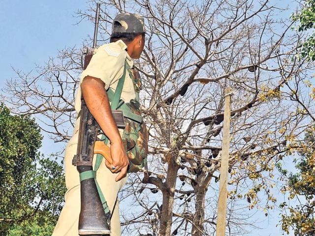 A-security-personnel-looks-at-a-tree-full-of-bee-hives-in-Lohardaga-s-Chiri-where-honeybees-stung-voters-and-officials-and-delayed-the-polling-for-45-minutes-on-Thursday-Diwakar-Prasad-HT-photo