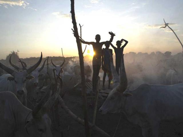 South Sudanese cattle herders stand among their animals in a field in Terekeka, in the Central Equatoria state of South Sudan. (AFP Photo)