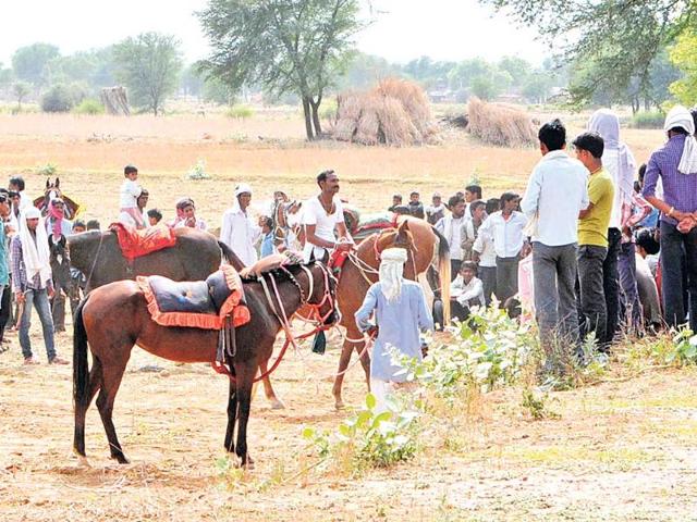 Jockeys-with-their-horses-before-a-race-at-Sumel-village-in-Sawai-Madhopur-Himanshu-Vyas-HT-Photo