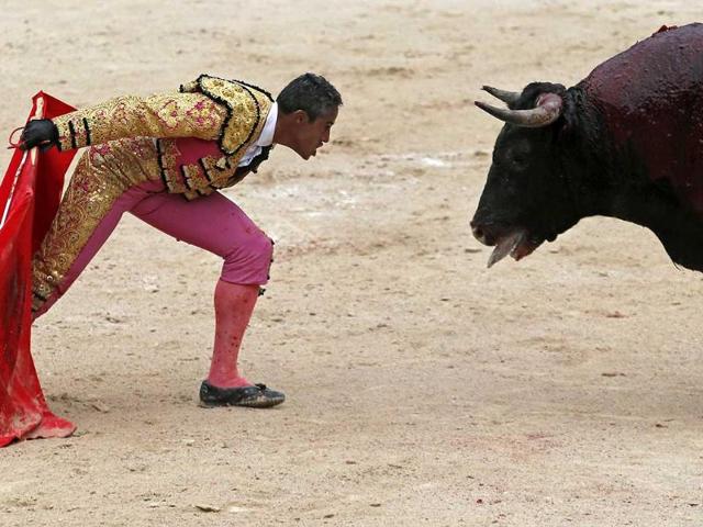 French bullfighter Mehdi Savalli taunts a bull in the arena during the traditional Easter Feria in Arles, Southern France (Reuters Photo)
