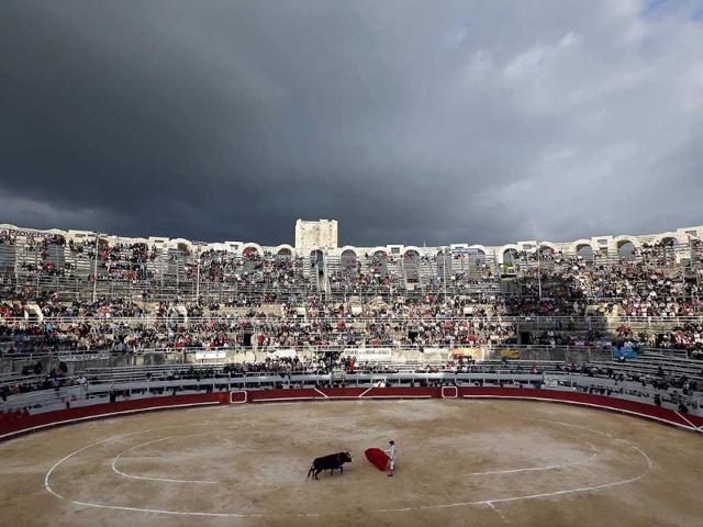 Spanish bullfighter Miguel Abellan performs a pass to a bull during the traditional Easter Feria in Arles, Southern France (Reuters Photo)