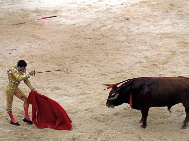 Spanish bullfighter Paco Urena prepares to deliver the coup de grace to a bull in the arena during the traditional Easter Feria in Arles, Southern France (Reuters Photo)