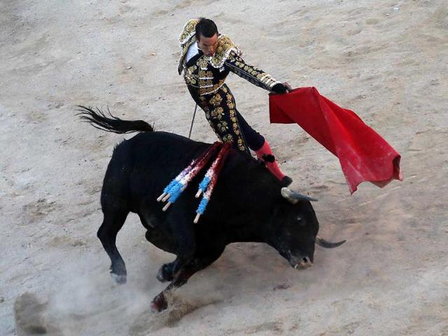 Spanish bullfighter Jose Maria Manzanares performs a pass to a bull in the arena during the traditional Easter Feria in Arles, Southern France (Reuters Photo)