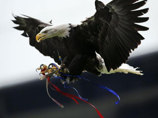 Crystal Palace's mascot, a North American bald eagle known as Kayla, flies before the start of the English Premier League football match between Crystal Palace and Manchester City at Selhurst Park in south London. AFP PHOTO
