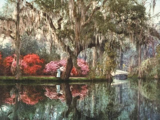 Anonymous: Charleston, Magnolia-on-the-Ashley.