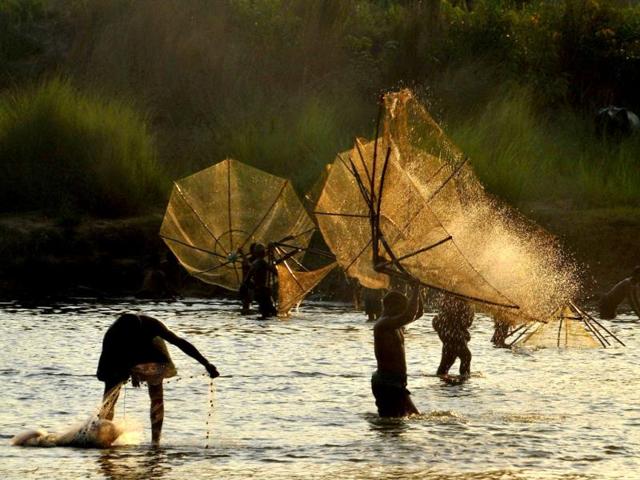 Indian villagers participate in an annual fishing festival at Haripur in Bhargavi River, on the outskirts of Bhubaneswar. (AFP Photo)