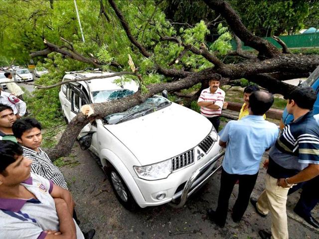 People look on as a tree branch fell on a car outside Gymkhana club after a storm accompanied by dark clouds in New Delhi. (PTI photo)