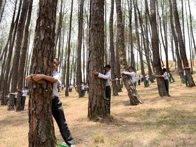 Nepalese school children hug trees in a bid to set a new world record in the forest of Gokarna village, on the outskirts of Kathmandu. Previous record of the largest tree hug record was set in July 2013 in the US when 936 people hugged trees. (AFP Photo)