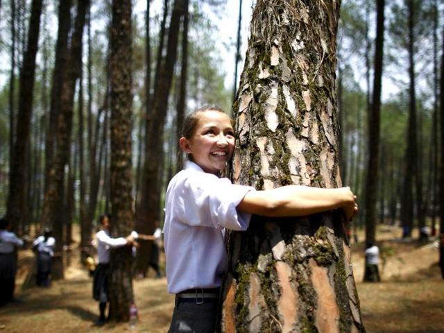 A girl hugs a tree as she takes part in an attempt to break the Guinness World Record for the most number of people hugging trees for two minutes in Kathmandu June 5, 2014. According to the event organiser, 2,001 people took part in the event, held on World Environment Day, to spread the message of saving the environment. (Reuters)