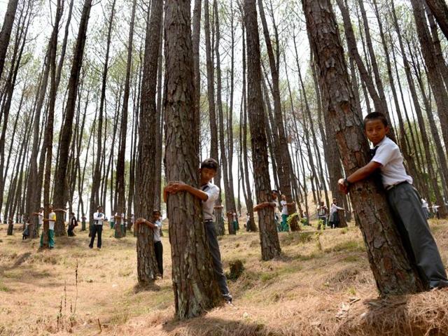 Nepalese school children hug trees in a bid to set a new world record for the largest tree hug as they celebrate World Environment Day in the forest of Gokarna village, on the outskirts of Kathmandu on June 5, 2014. (AFP Photo)