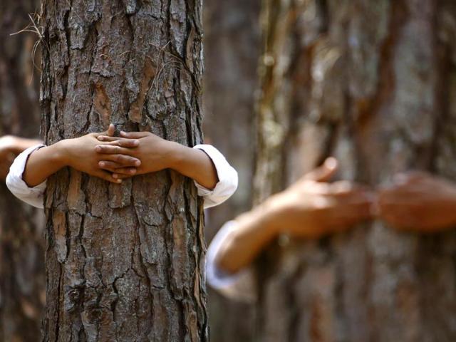 Hands hugging trees are pictured as participants take part in an attempt to break the Guinness World Record for the most number of people hugging trees for two minutes in Kathmandu June 5, 2014. According to the event organiser, 2,001 people took part in the event, held on World Environment Day, to spread the message of saving the environment. (Reuters)