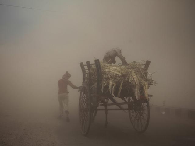 India, Jammu: June 16, 2014 Two men with a horse cart try to make their way during a powerful dust storm in Jammu, India. (AP/CHANNI ANAND) India, Jammu: June 16, 2014 Two men with a horse cart try to make their way during a powerful dust storm in Jammu, India. (AP/CHANNI ANAND)