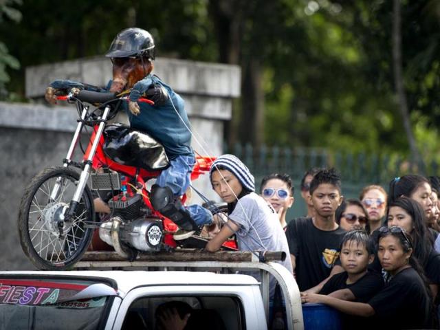 A roasted pig (L) dressed as a motorcycle rider is paraded through the streets in Balayan, Batangas province, south of Manila to celebrate the feast of St John the Baptist. Roasted pigs decked out as superheroes and mud-coated farmers paraded in Philippine villages on June 24 to mark some of the Catholic nation's most colourful religious festivals and several thousand revellers marched behind mini-trucks carrying roasted hogs through Balayan, with bystanders periodically dousing the raucous procession with buckets of water. (AFP photo)