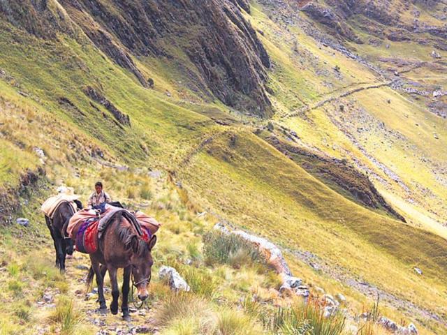 Qhapaq Ñan, Andean Road System (Argentina, Bolivia, Chile, Colombia, Ecuador, Peru): A network of roads covering 30,000 km, it was constructed by the Incas over several centuries. It cuts through one of the world’s most extreme geographical terrains, including rainforests and absolute deserts, and links snow-capped peaks of the Andes to the coast.