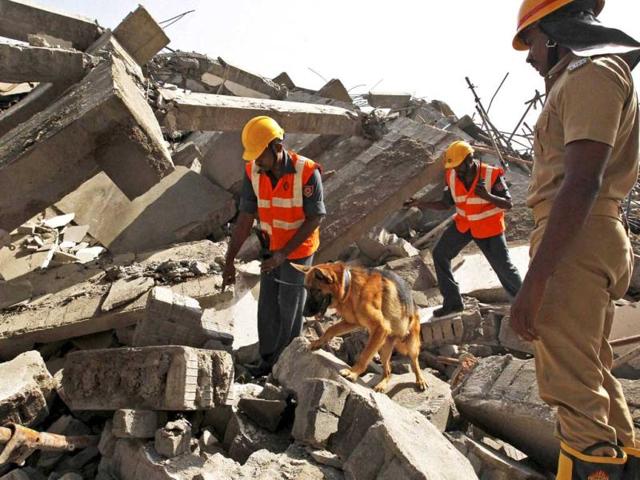 Rescuers-with-a-sniffer-dog-search-for-workers-believed-buried-in-the-rubble-of-a-building-that-collapsed-late-on-Saturday-during-monsoon-rains-on-the-outskirts-of-Chennai-PTI-photo