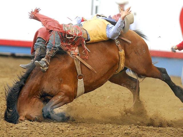 A horse named Money Rules falls in its head as Yance' Day of Weatherford, Okla., hangs on during the bareback event in the Greeley Stampede in Greeley, Colo. (AP Photo)