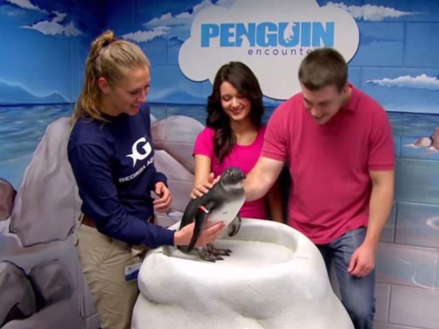 3. Georgia Aquarium, Atlanta, Georgia