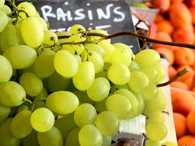 Grapes: They have phytochemicals and phytonutrients which are antioxidant and anti-inflammatory in nature helping regeneration and healing of skin. (AFP)