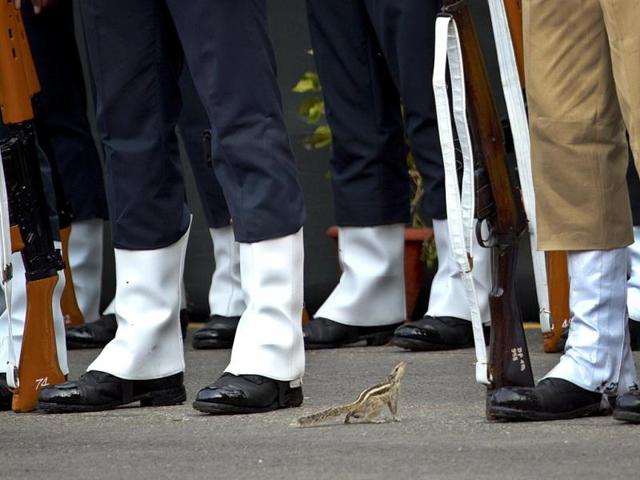 A squirrel approaches soldiers rehearsing for the Independence Day celebrations in New Delhi. (AP Photo/Saurabh Das)