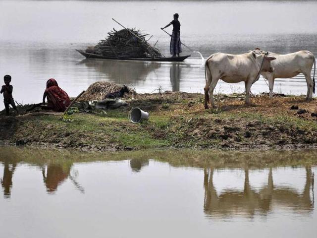 A villager uses a boat to transport firewood through floodwaters as a resident and child sit alongside cattle on partially submerged farmland at Buraburi village in the Morigaon district, Assam. (AFP Photo)