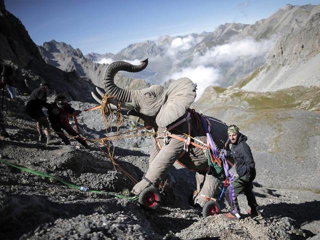 Volunteers use ropes to push a 200kg-replica of one of Hannibal's elephant, by French artist Luc Dubost, on the Cavalla Pass, in the Maira Valley, near Cuneo and the French border. (AFP Photo)