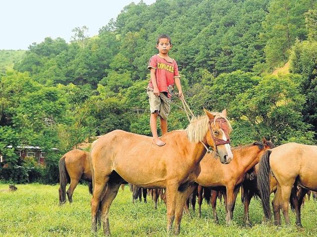 Seven-year-old-Avinash-is-an-expert-bareback-rider-Here-he-s-pictured-on-Bala-his-favourite-pony-Photo-by-CK-Sharma Seven-year-old-Avinash-is-an-expert-bareback-rider-Here-he-s-pictured-on-Bala-his-favourite-pony-Photo-by-CK-Sharma