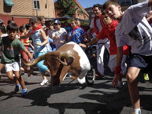 Children run ahead of a model bull used to train bullfighters after the first bull run of the San Sebastian de los Reyes Festival near Madrid, on August 26, 2014.(AFP PHOTO/ Pedro Armestre)